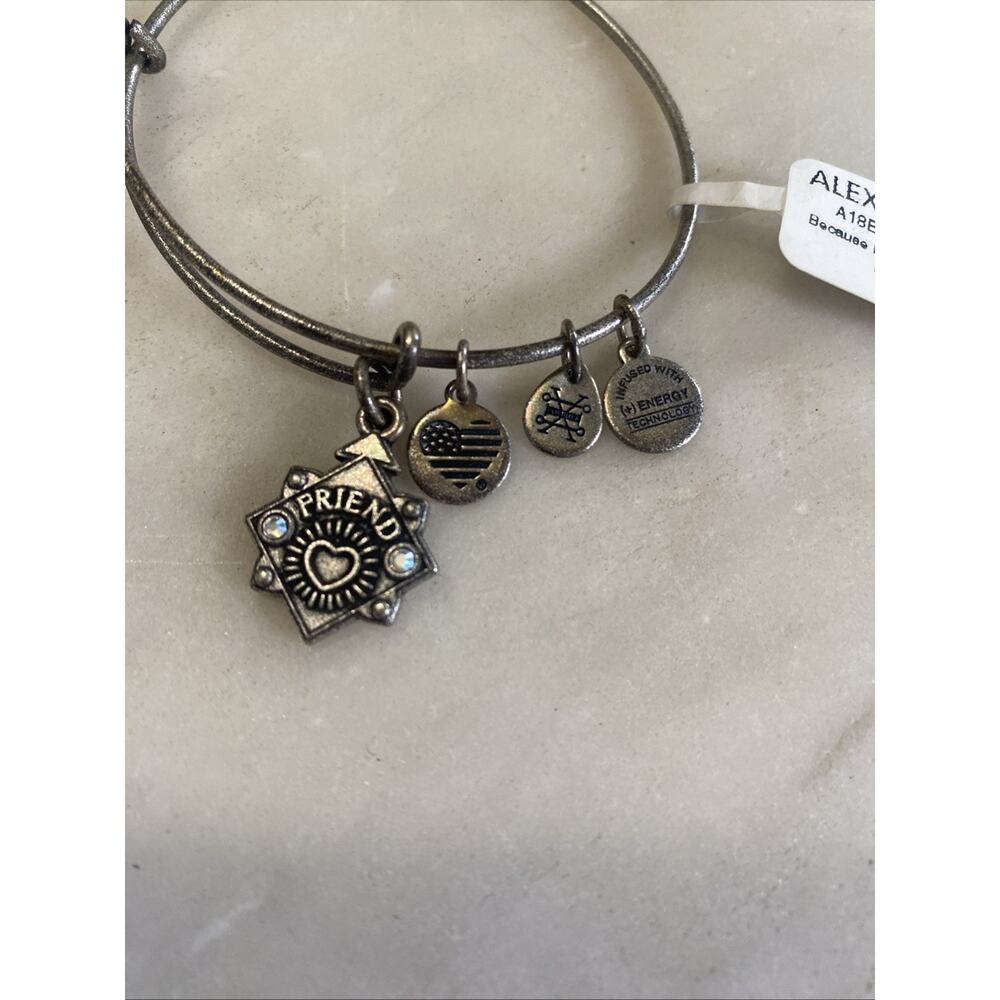 Alex And Ani Because I Love You Friend 2018 Bangle Bracelet Rafaelian Silver